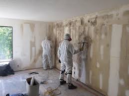 Best Post-Construction Mold Inspection  in Ganado, TX